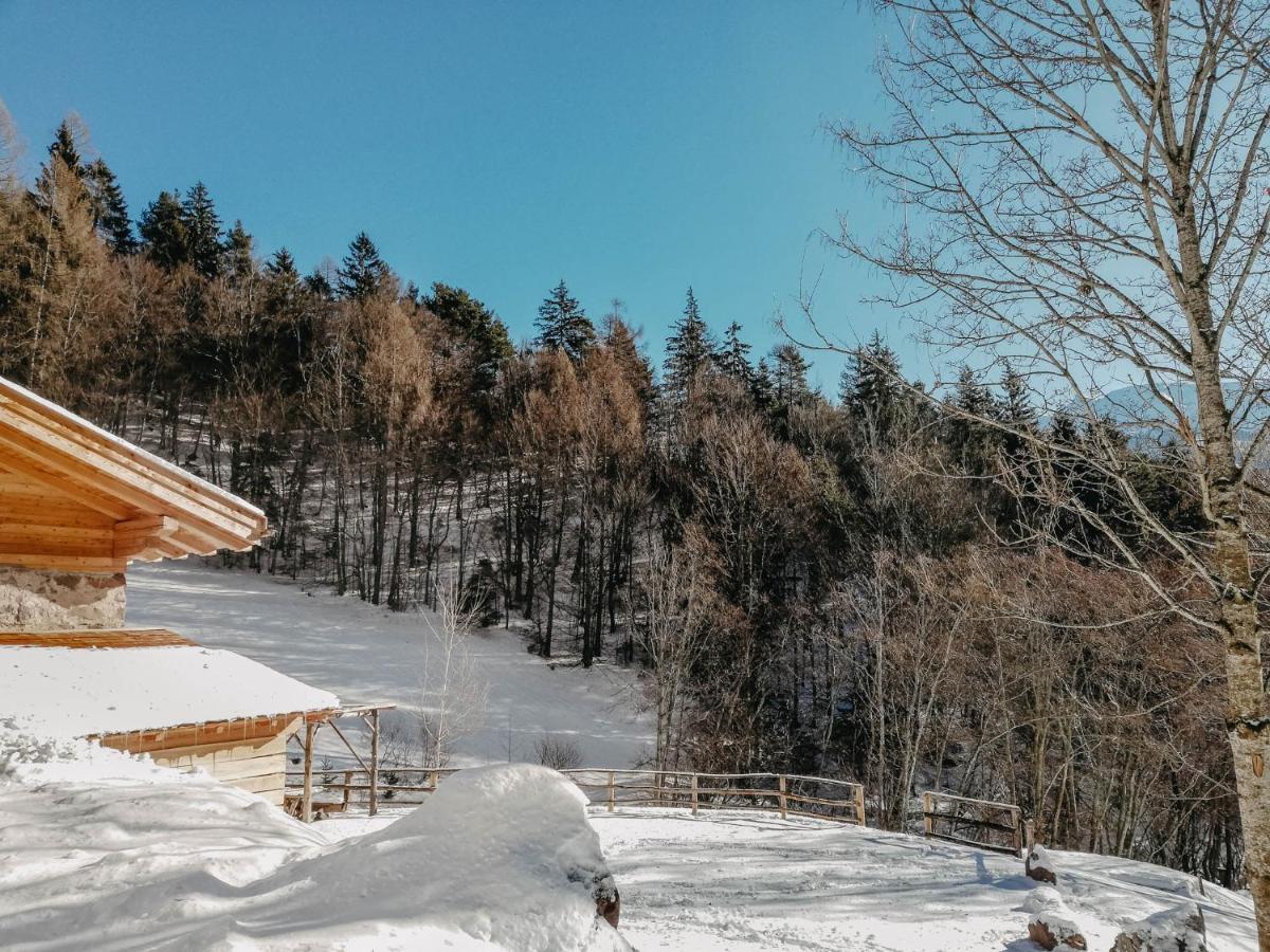 Willa Odomi Maso Nel Bosco Sant'Orsola Zewnętrze zdjęcie