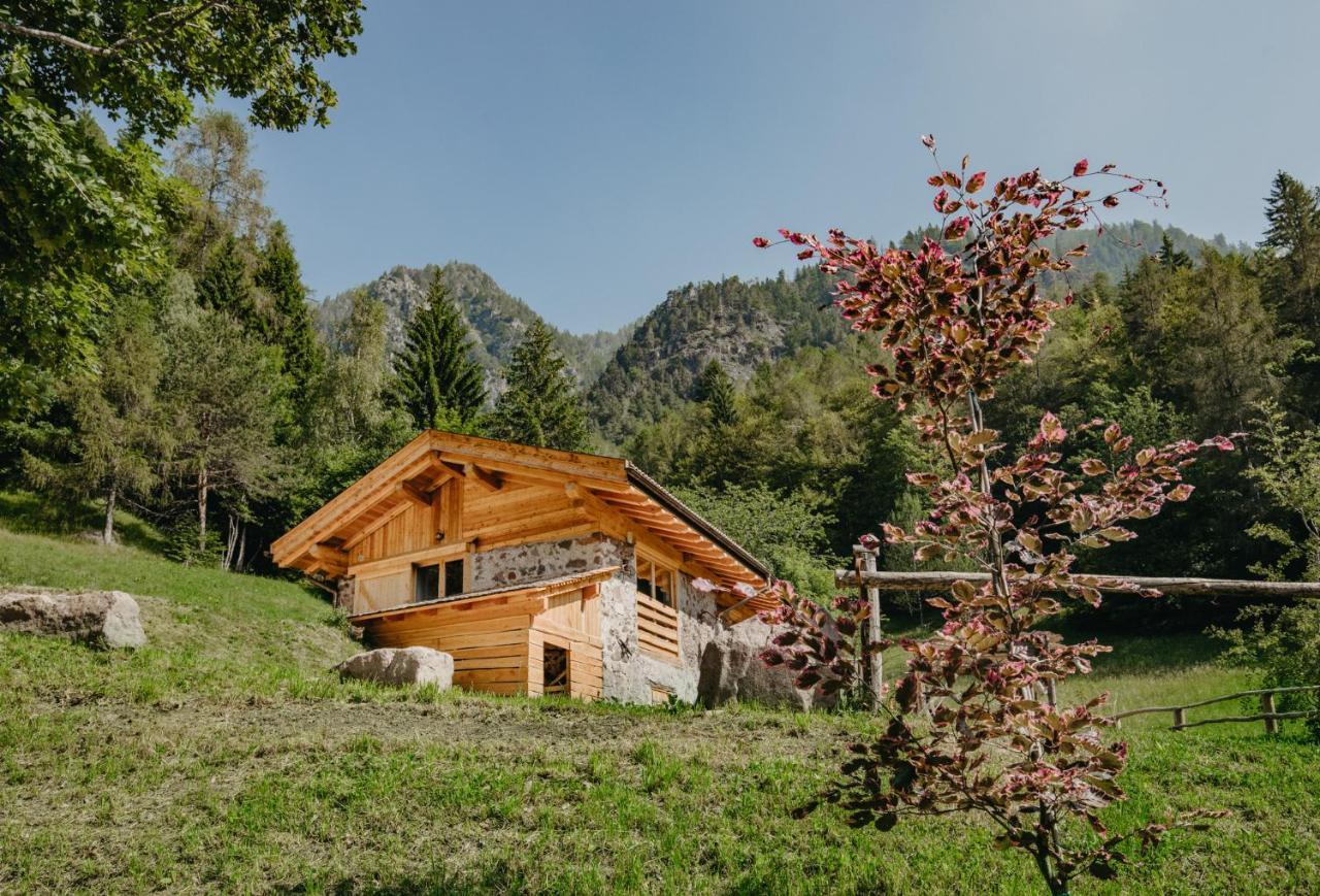 Willa Odomi Maso Nel Bosco Sant'Orsola Zewnętrze zdjęcie